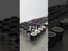 पानी पंप यांत्रिक सील