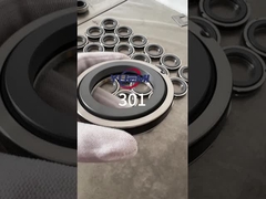 301 सिंगल-स्प्रिंग मैकेनिकल सील ((Aesseal B01, Bt-Ar, Flowserve 118, Mut Fa को Cyclan B01 के लिए प्रतिस्थापित करें