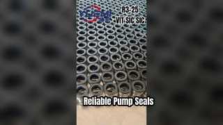 YUEMI 155 मैकेनिकल सील विश्वसनीय और बहुमुखी