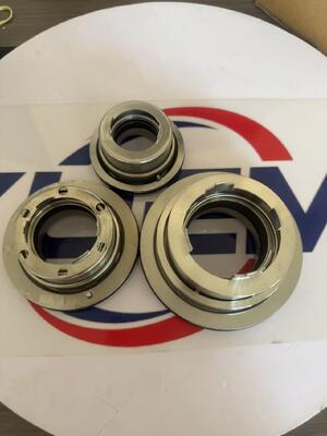 ब्लैक-मेर औद्योगिक जल पंप डिब्बाबंद सीवेज पंप यांत्रिक सील